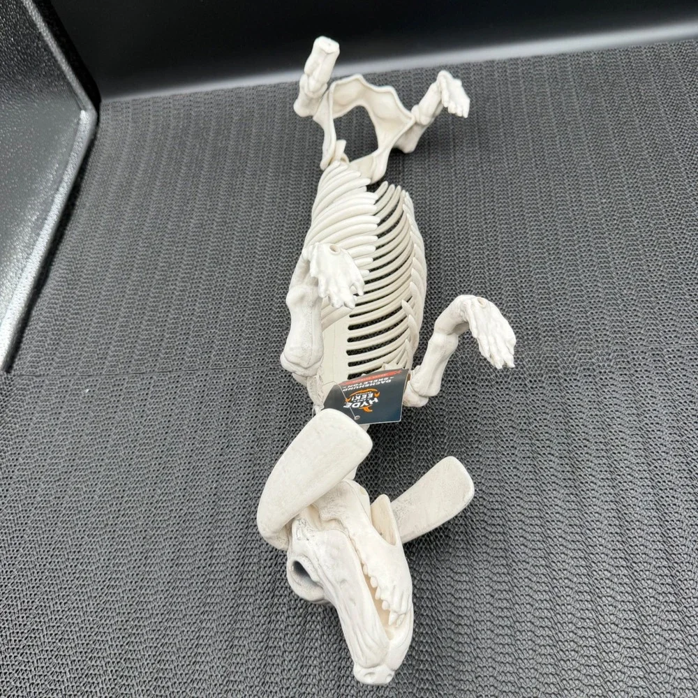 Hyde & EEK Halloween Dachshund Skeleton Dog Prop Indoor Outdoor Missing Tail